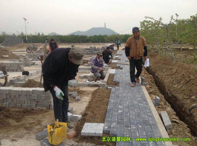 整鋪粘合層，鋪設(shè)透水磚