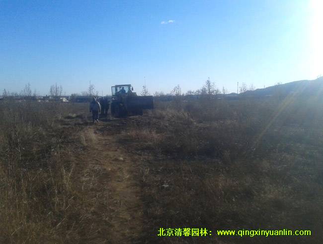 園路設(shè)計現(xiàn)場原始狀態(tài)