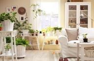 春季用植物去裝扮居室美極了！