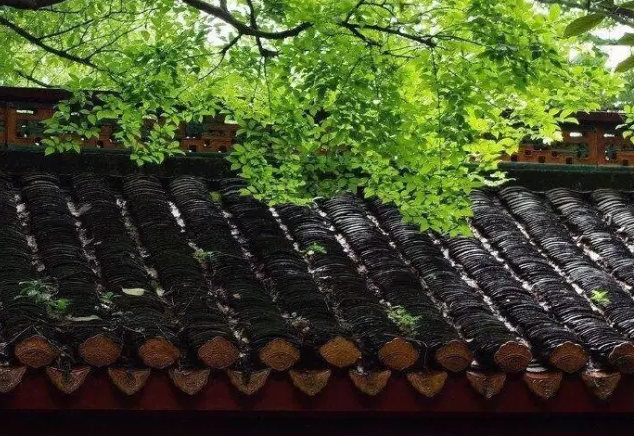 圖解中式園林的瓦當之美